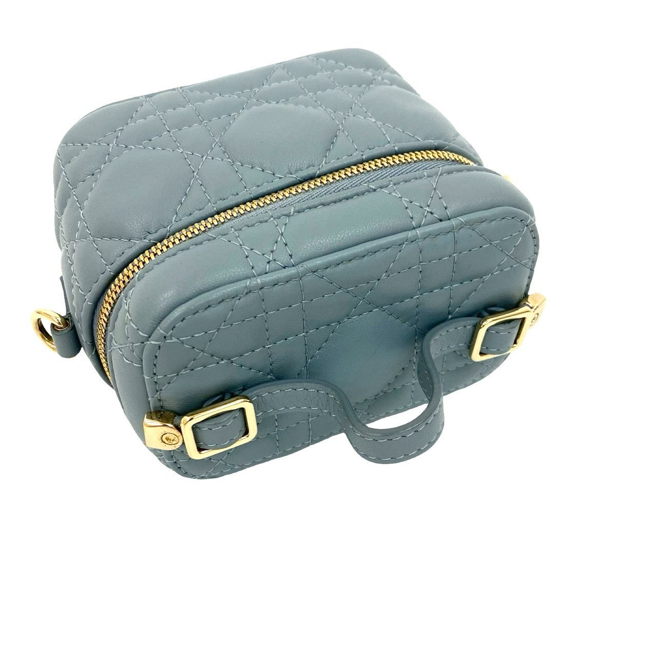 Christian Dior レディディオール マイクロ バニティ – Trip