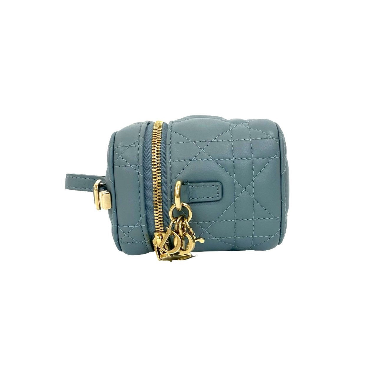 Christian Dior レディディオール マイクロ バニティ – Trip