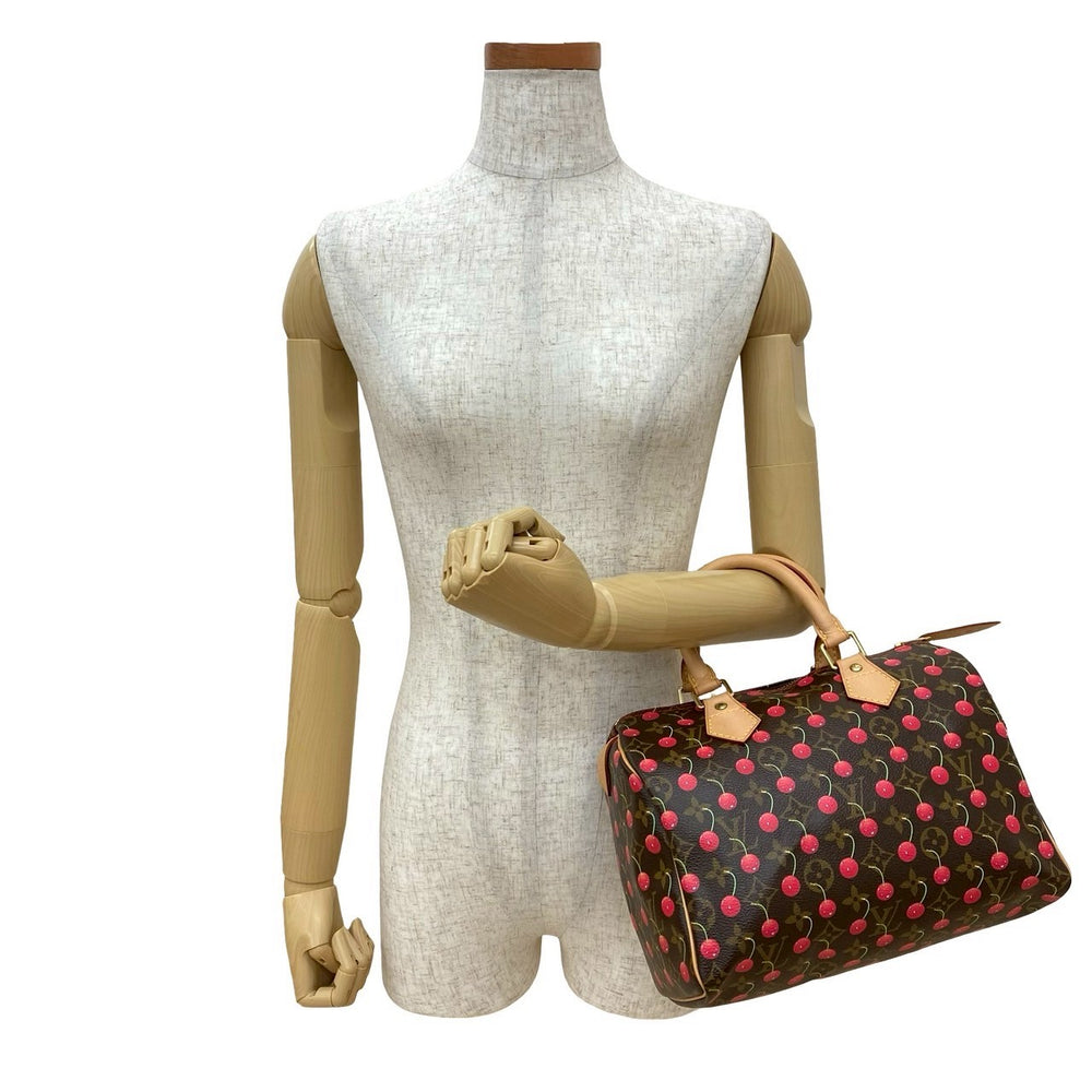 Handbag Louis Vuitton Speedy 25