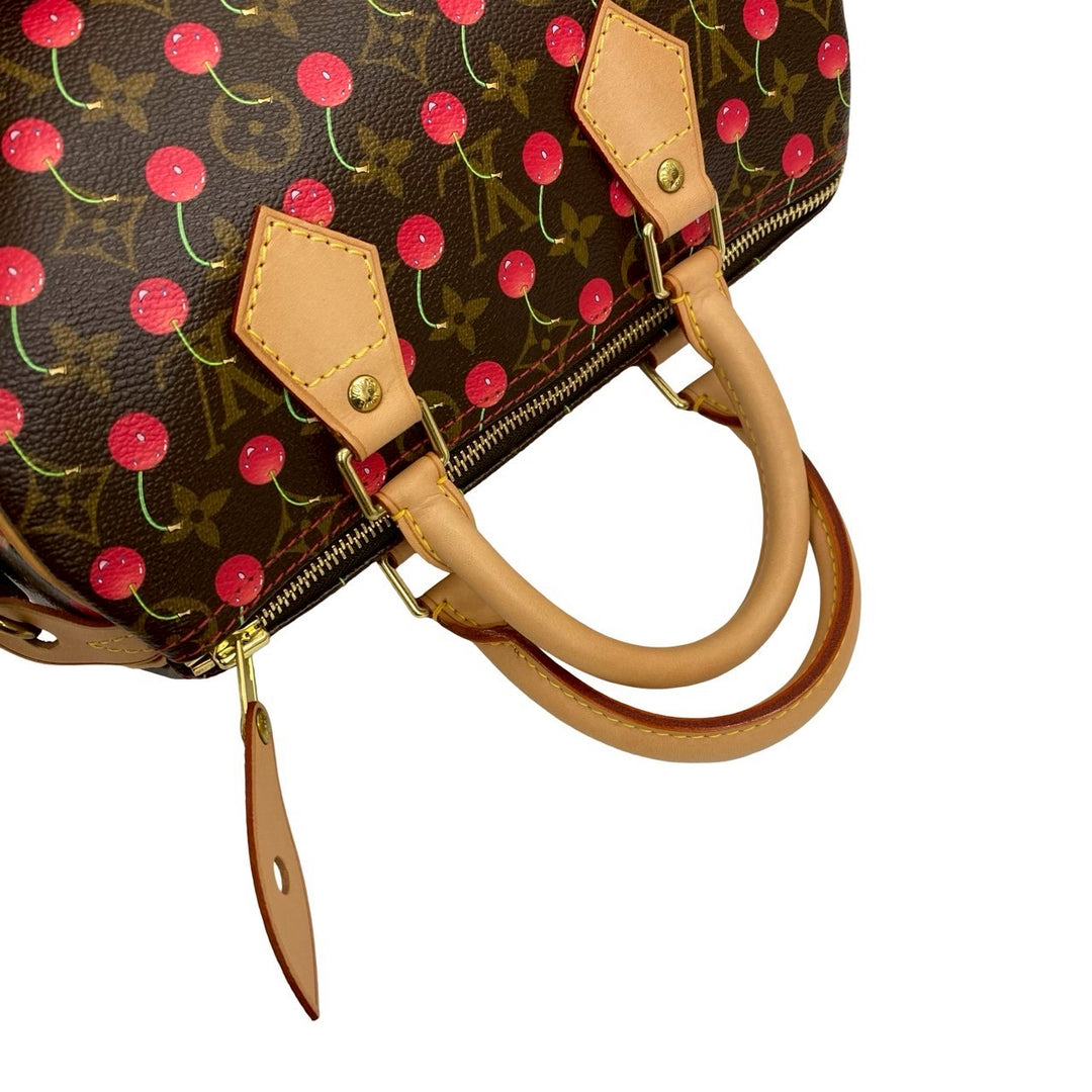 Handbag Louis Vuitton Speedy 25