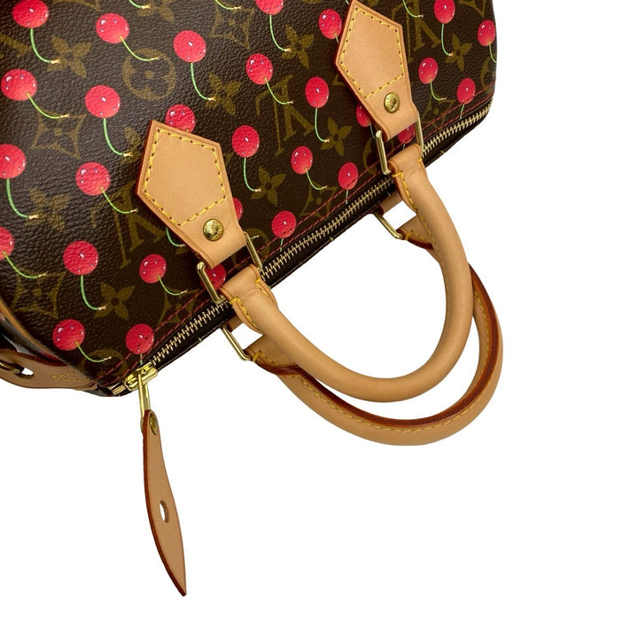 Handbag Louis Vuitton Speedy 25