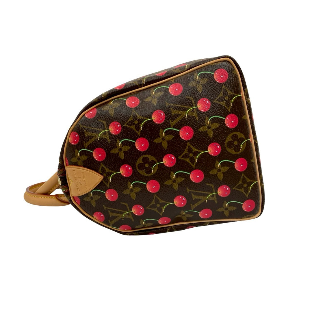 Handbag Louis Vuitton Speedy 25