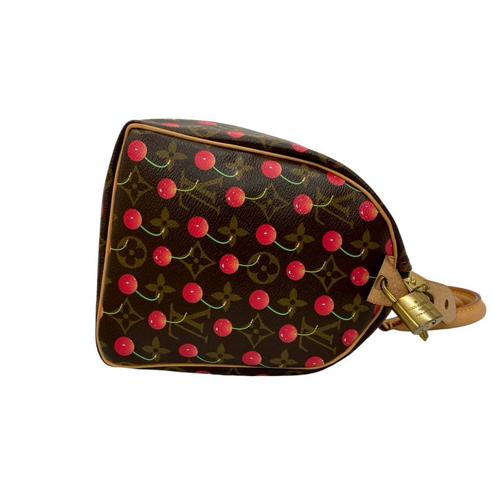 Handbag Louis Vuitton Speedy 25