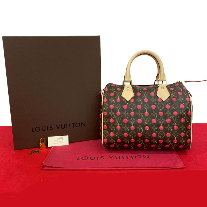 Handbag Louis Vuitton Speedy 25