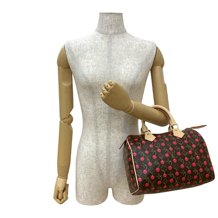 Handbag Louis Vuitton Speedy 25