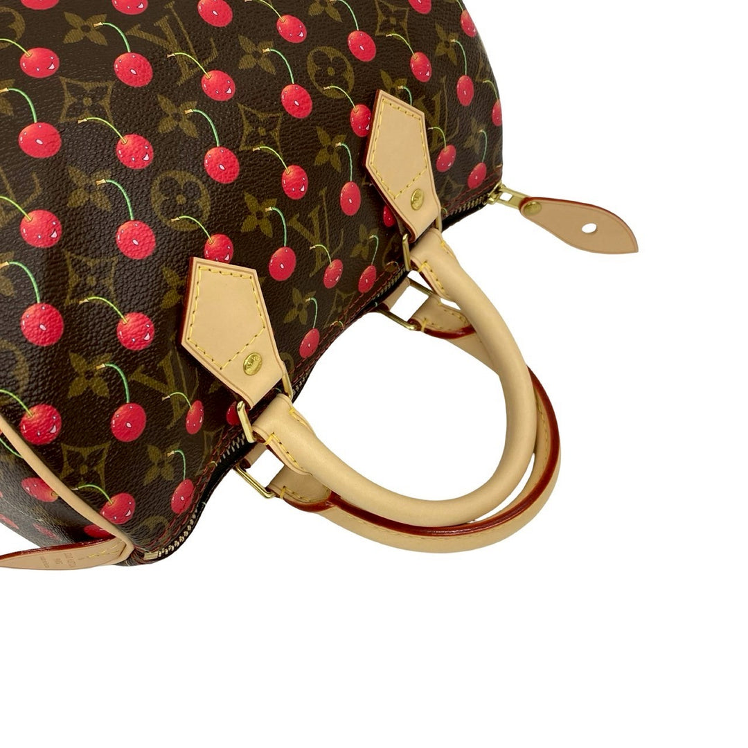 Handbag Louis Vuitton Speedy 25
