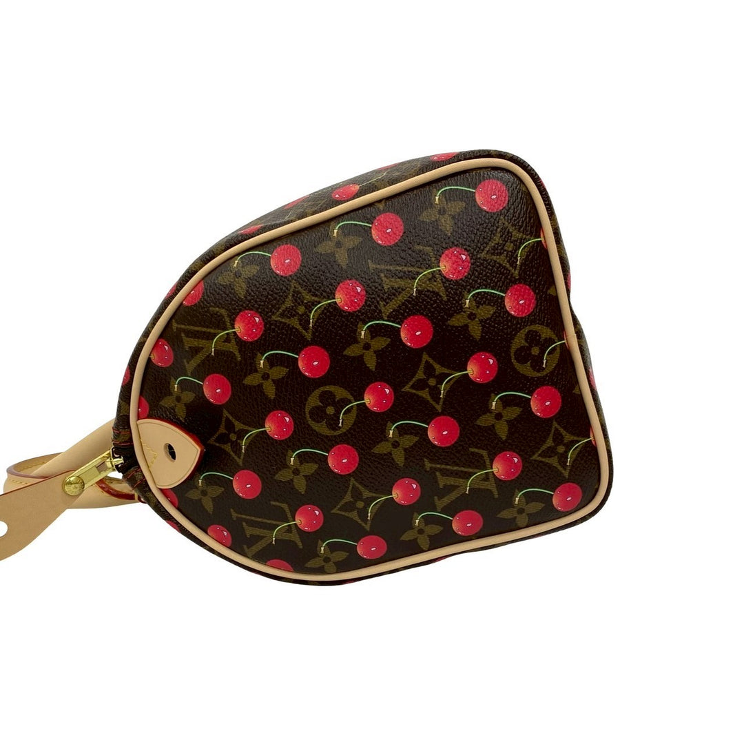 Handbag Louis Vuitton Speedy 25
