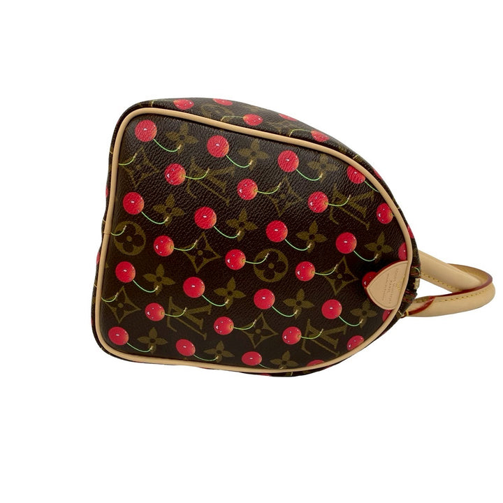 Handbag Louis Vuitton Speedy 25