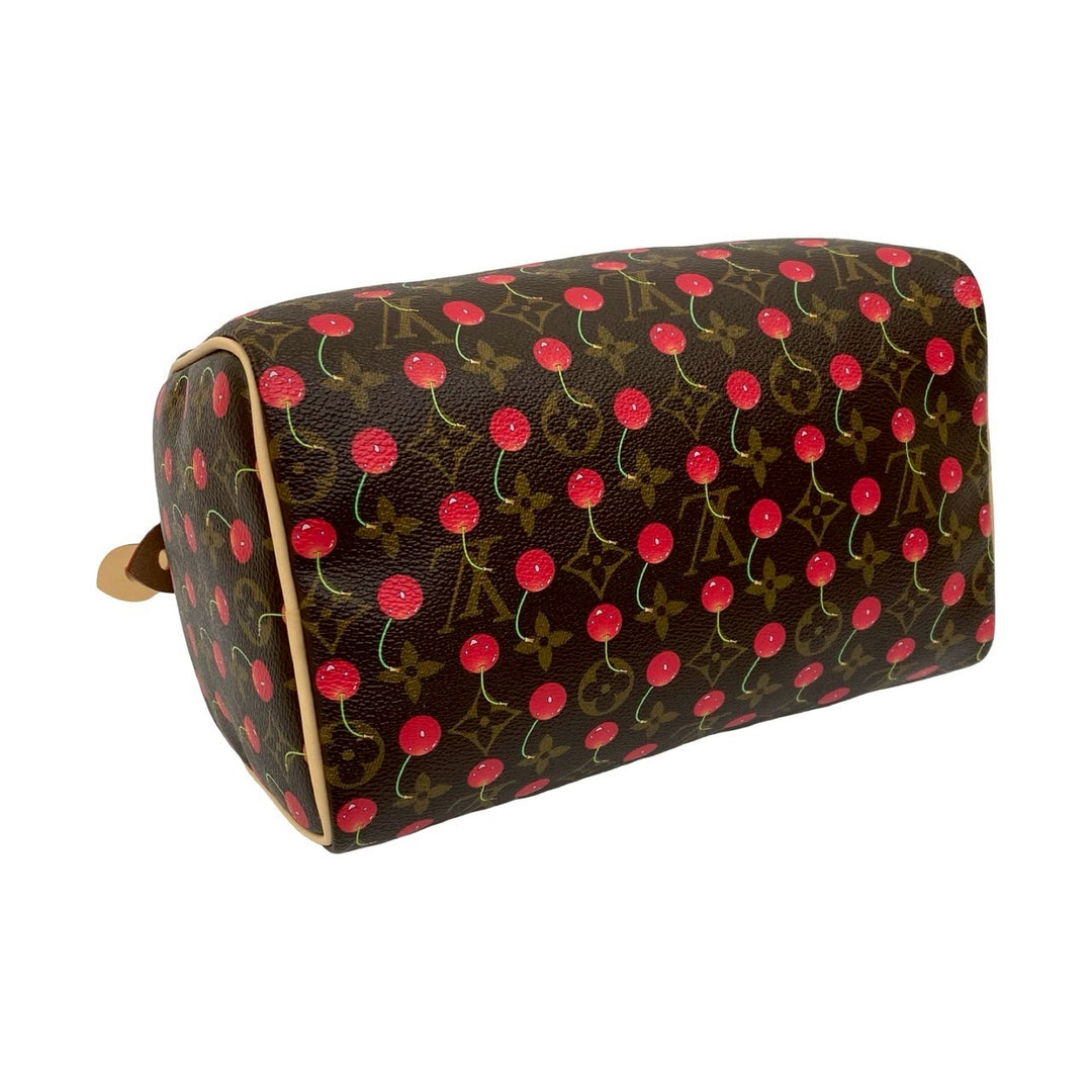 Handbag Louis Vuitton Speedy 25