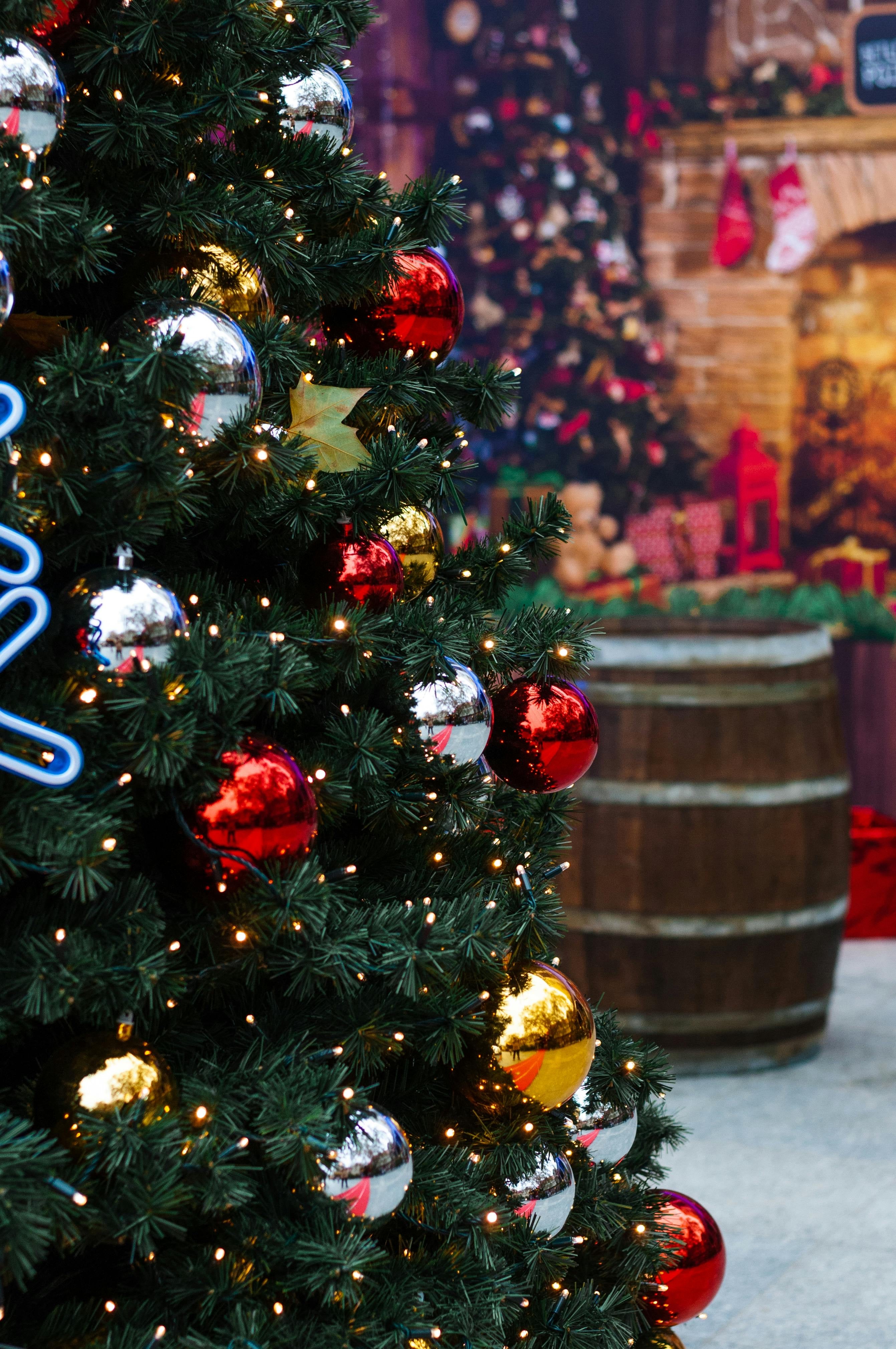 TRIP USED and VINTAGE – Trip