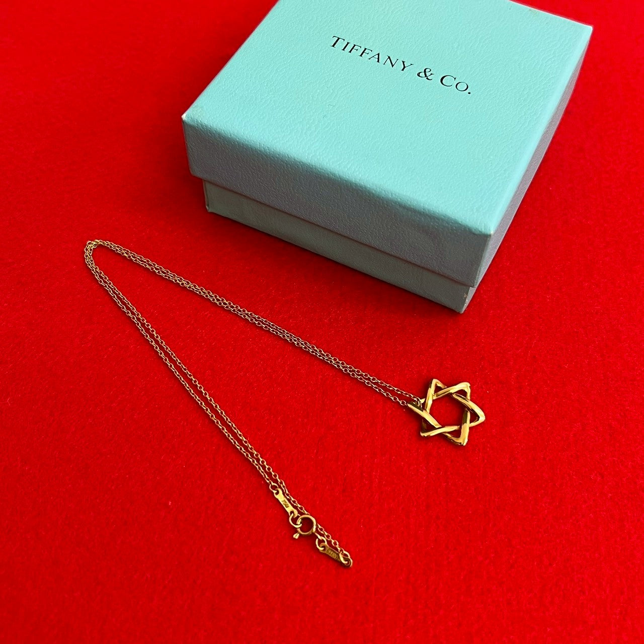 TIFFANY&Co. ティファニー スター オブ ダビデ ネックレス – Trip