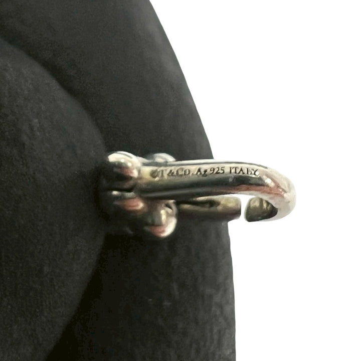 blurRubbingTiffany Hardware Microlink BrakeRubbingCut