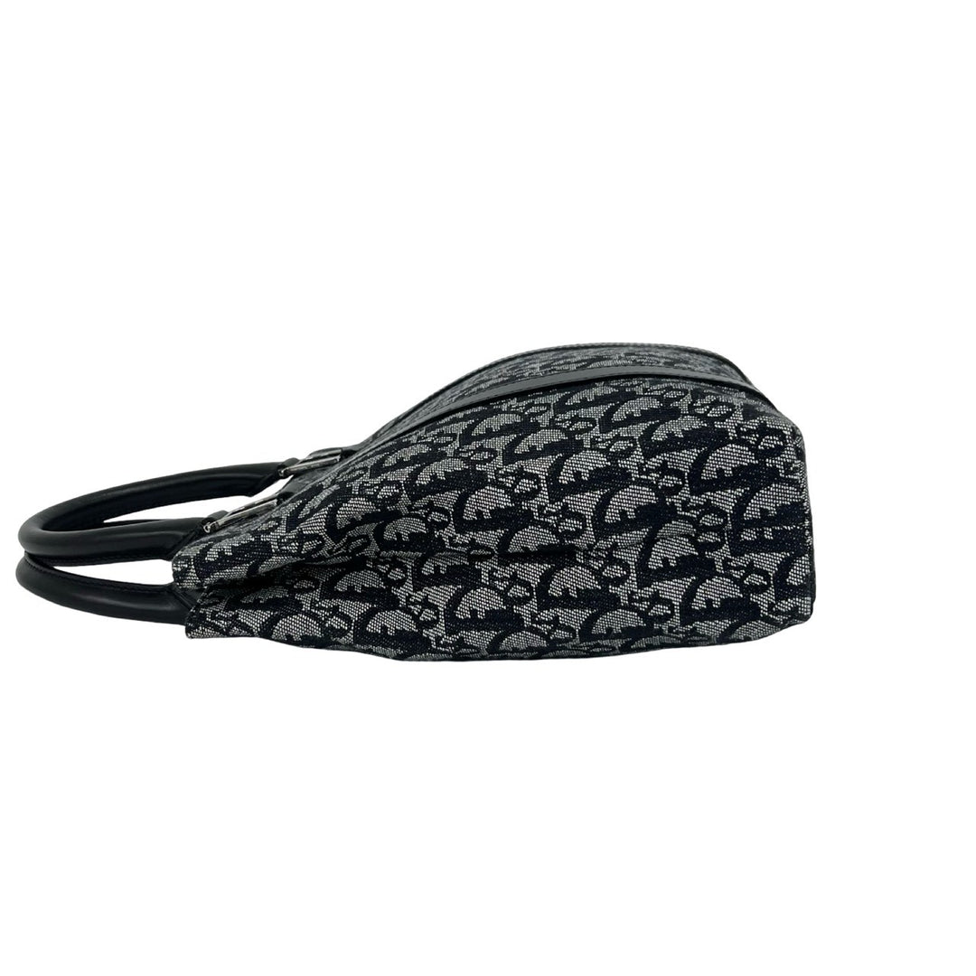 handbag dior