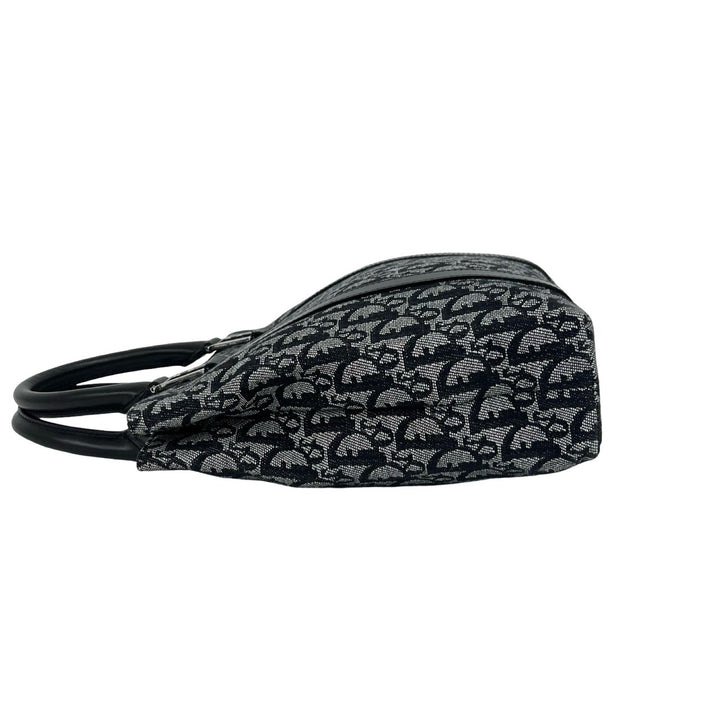 handbag dior