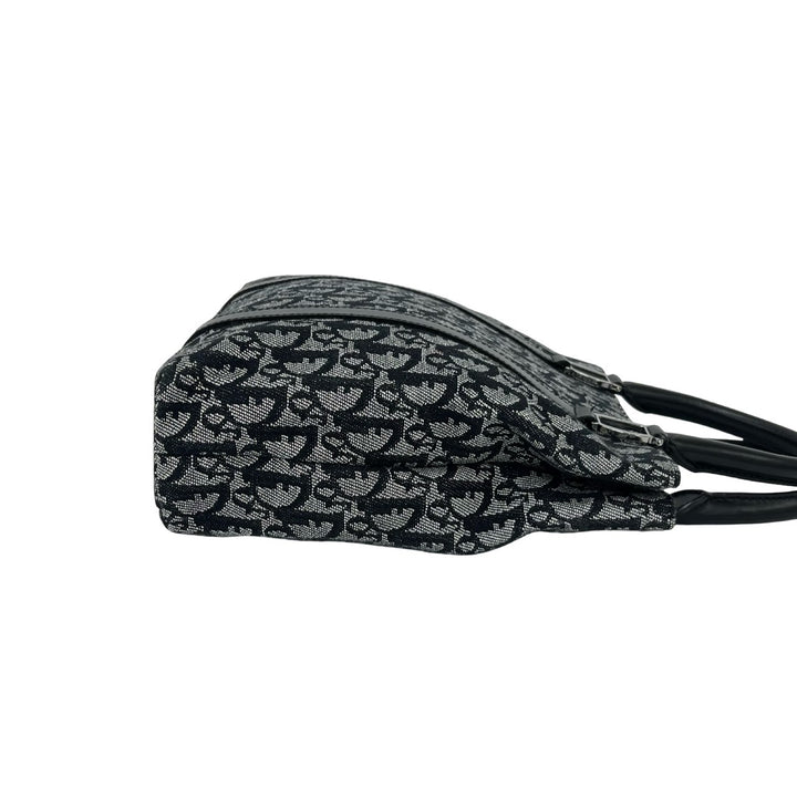 handbag dior