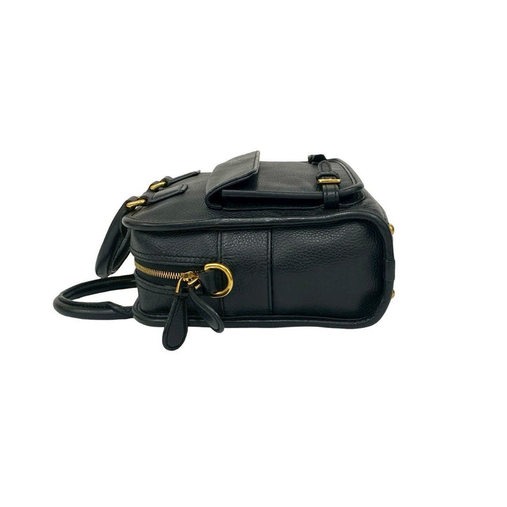 ショルダーバッグ ロエベ