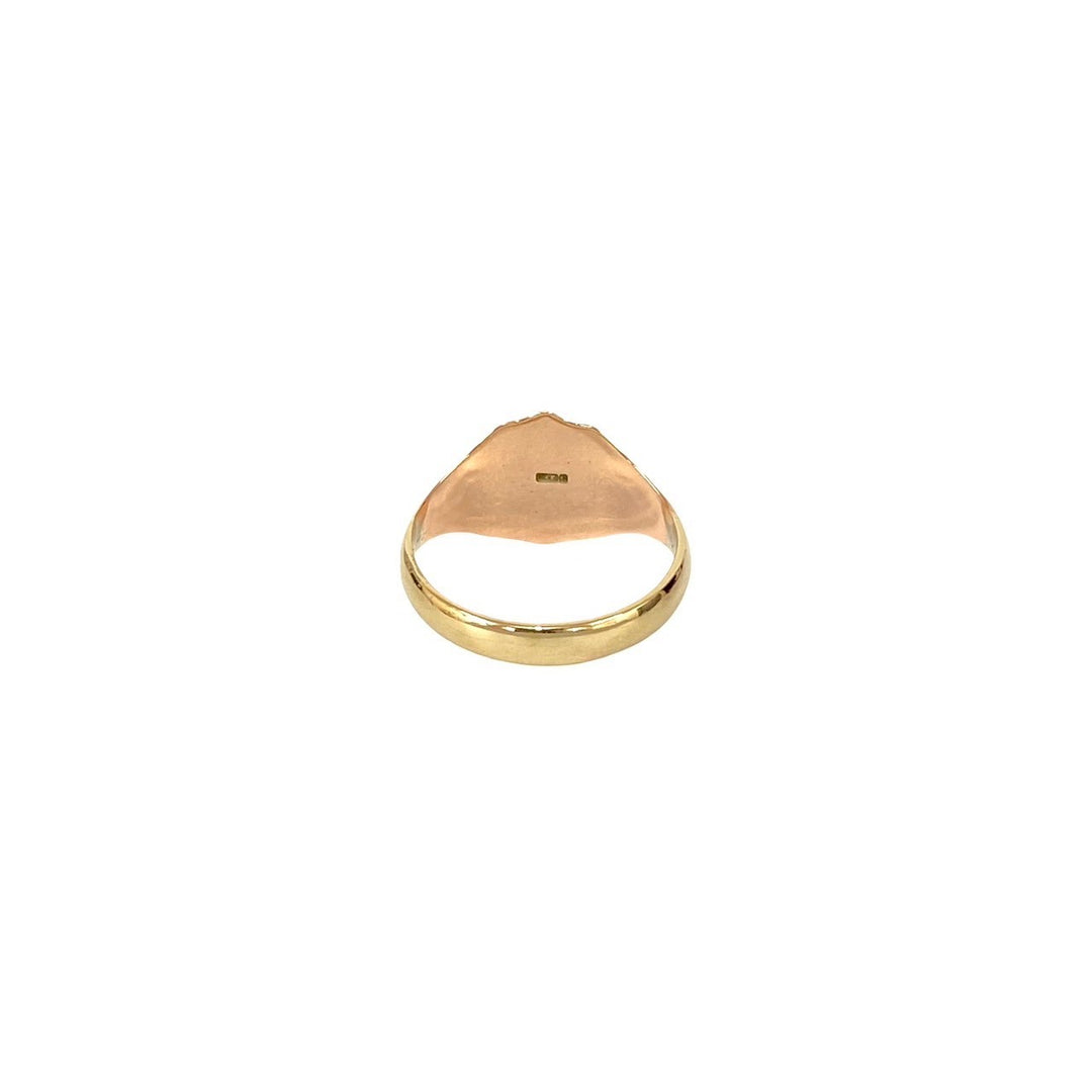 Rings No-brand signet ring