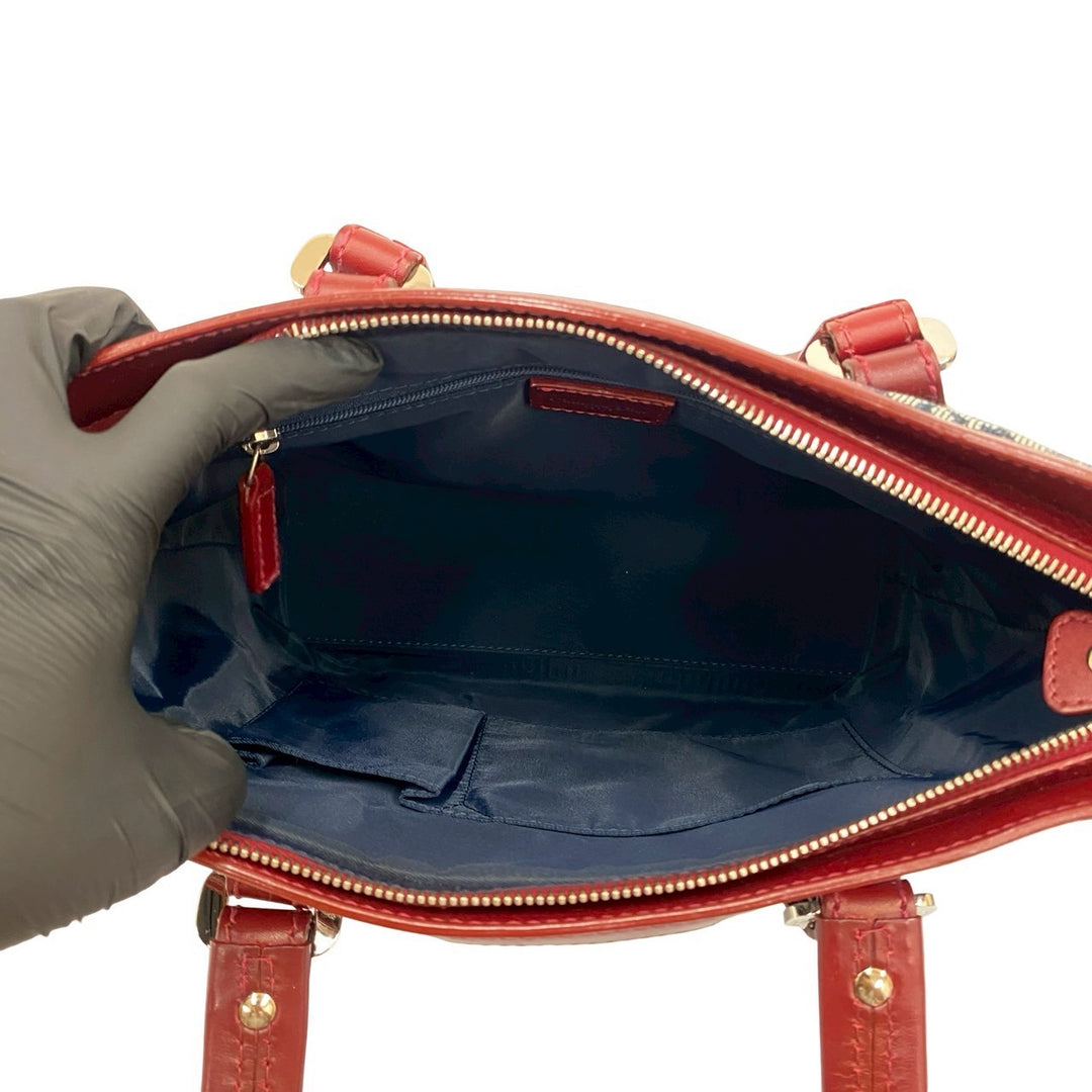 handbag dior