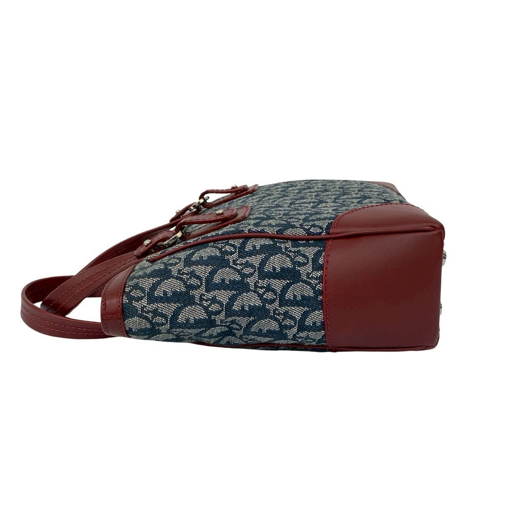 handbag dior
