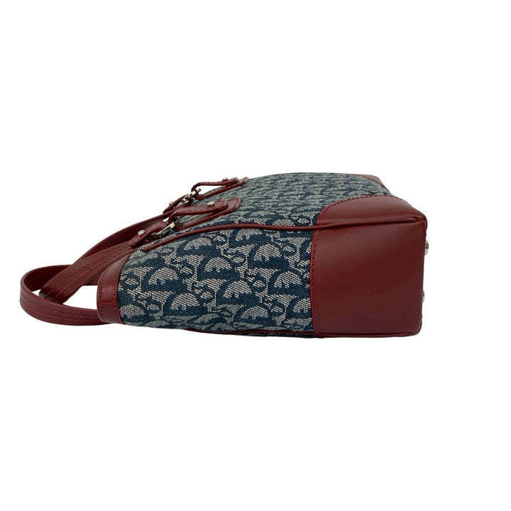 handbag dior