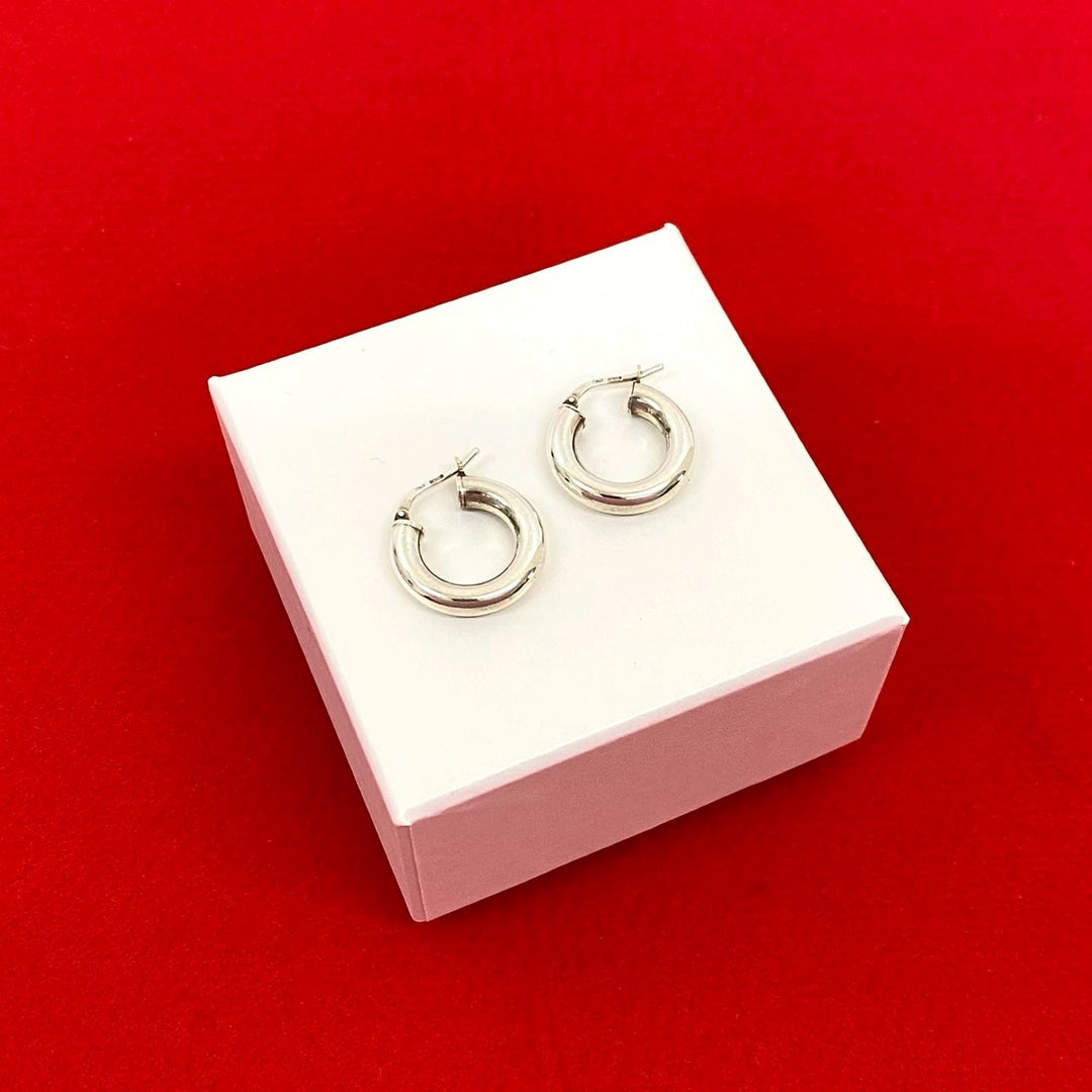 ピアス ボッテガヴェネタ