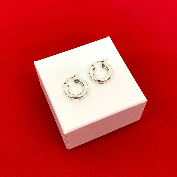 ピアス ボッテガヴェネタ