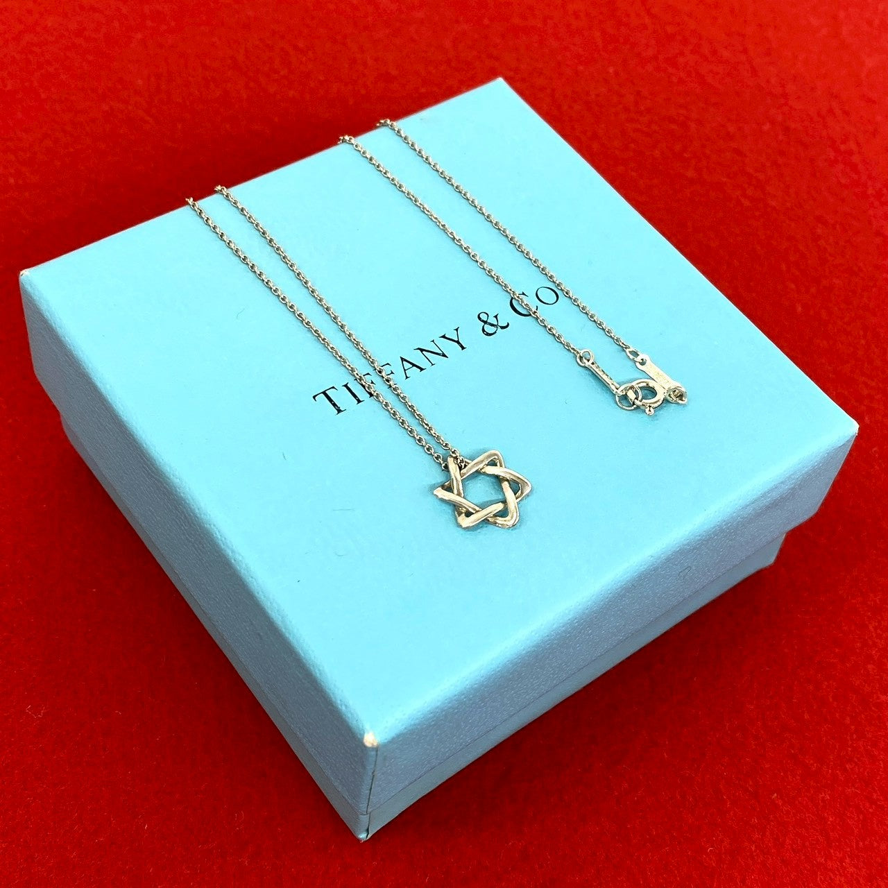 TIFFANY&Co. ティファニー (Vintage) スター オブ ダビデ ネックレス